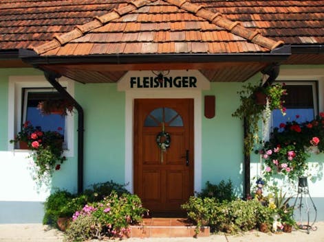 Vina Fleisinger